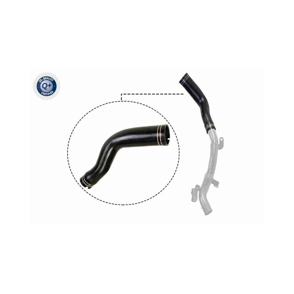 Ladeluftschlauch VAICO V24-0694 Q+, Erstausr&uuml;sterqualit&auml;t f&uuml;r FIAT