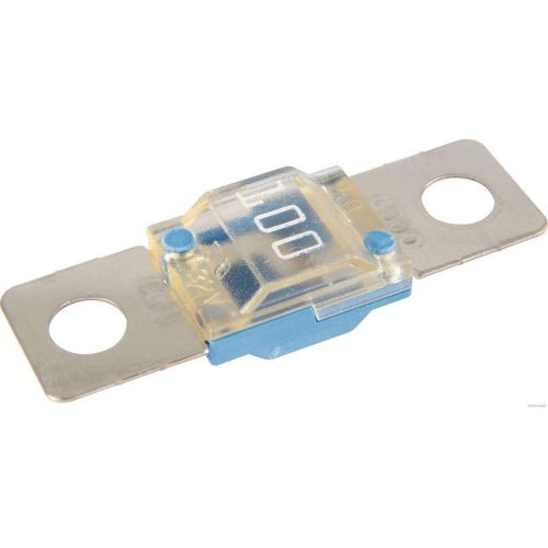 HERTH+BUSS ELPARTS 50295863 Sicherung f&uuml;r BMW CITRO&Euml;N FORD PEUGEOT SCANIA VAG