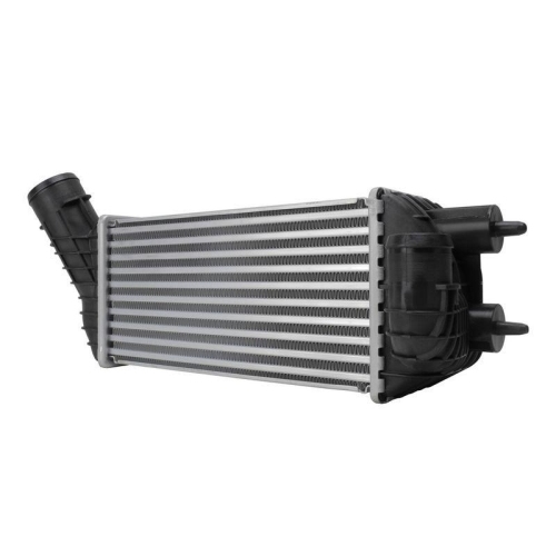 HELLA 8ML 366 341-781 Ladeluftk&uuml;hler f&uuml;r CITRO&Euml;N PEUGEOT DS