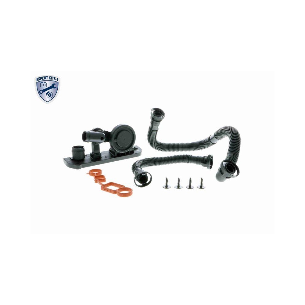 Reparatursatz, Kurbelgeh&auml;useentl&uuml;ftung VAICO V10-3246 EXPERT KITS + f&uuml;r AUDI VW