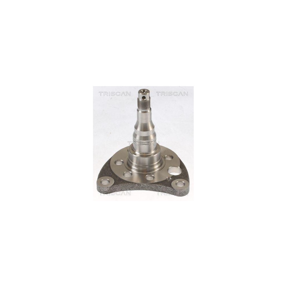 Radnabe TRISCAN 8535 29011 f&uuml;r AUDI SEAT SKODA, Hinterachse