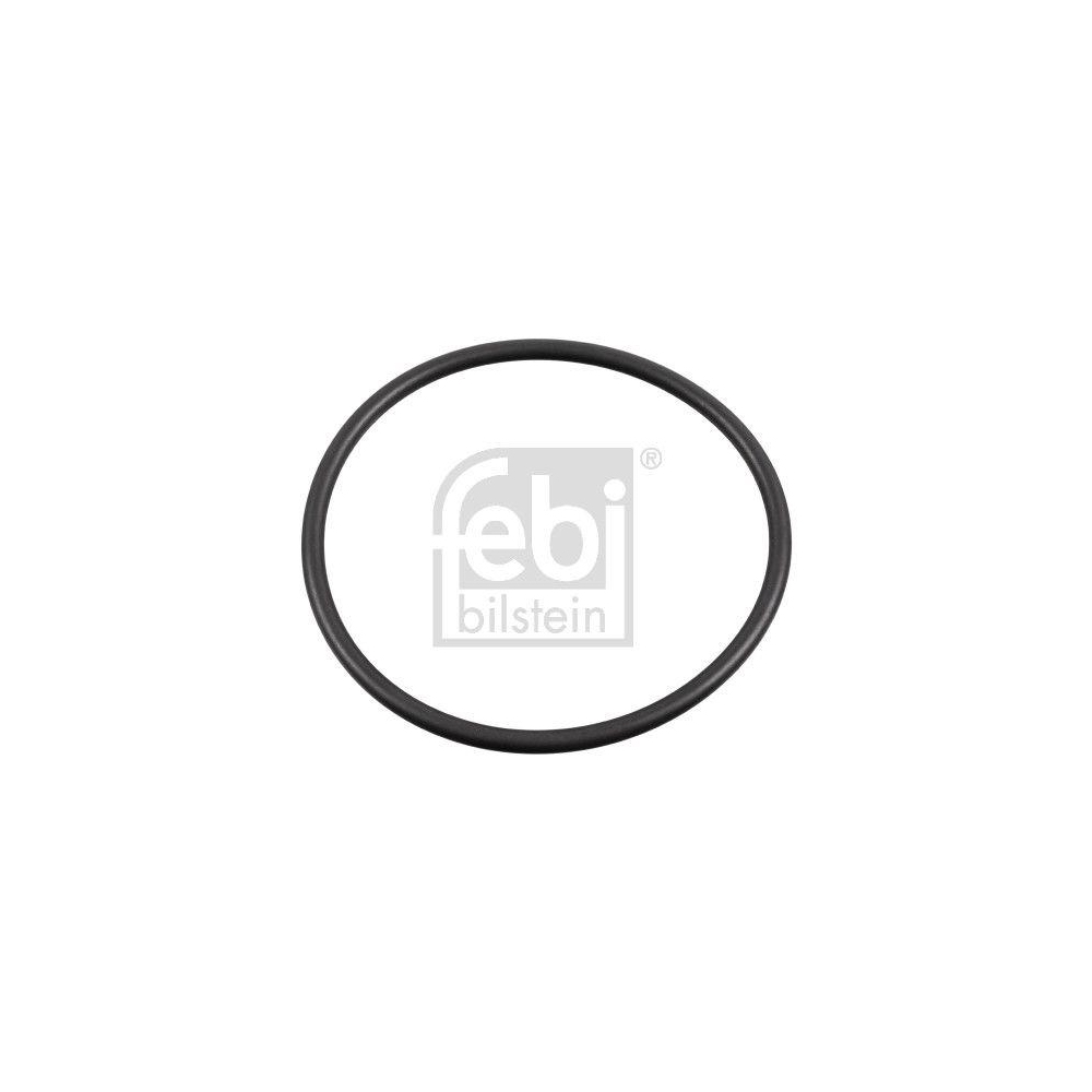 Dichtring, Radnabe FEBI BILSTEIN 179379 für MAN