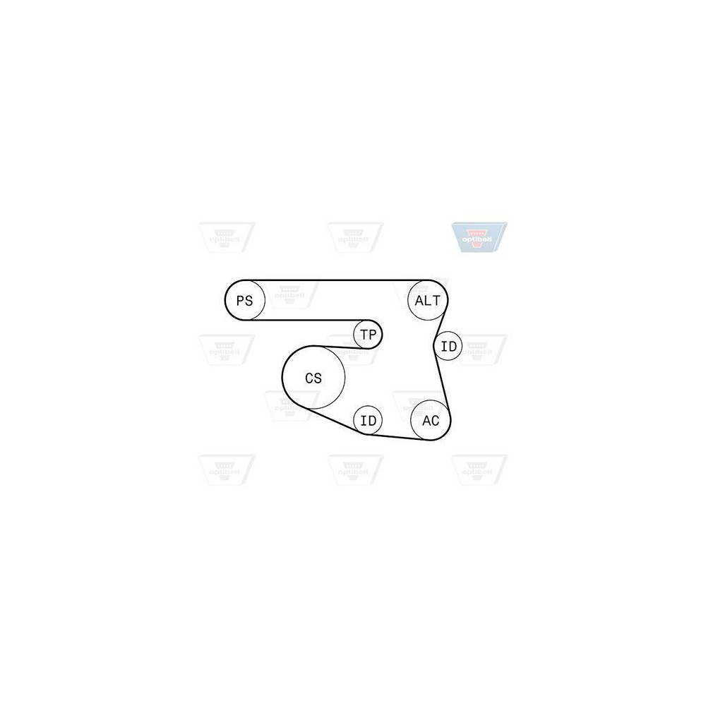 Keilrippenriemensatz OPTIBELT 6 PK 1870KT1 Optibelt-RBK KIT f&uuml;r AUDI BMW DAEWOO