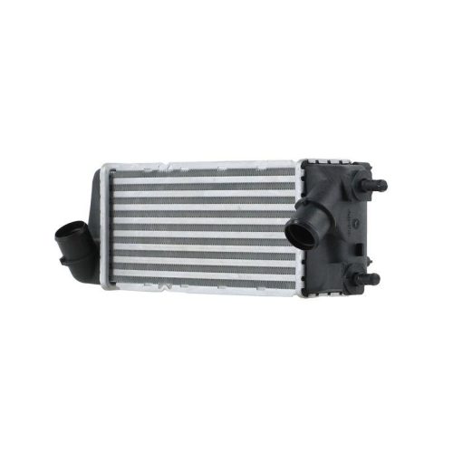 HELLA 8ML 366 340-901 Ladeluftk&uuml;hler f&uuml;r FIAT
