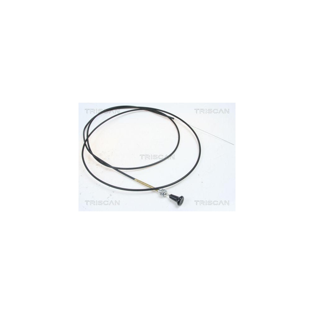 Luftklappenwelle, Vergaser TRISCAN 8140 91004 für