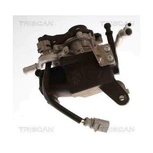 TRISCAN 8813 29118 AGR-Ventil f&uuml;r AUDI SEAT SKODA VW