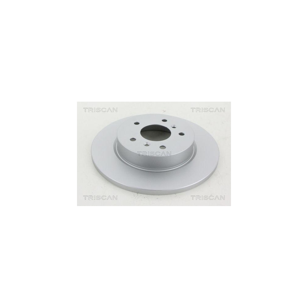 TRISCAN 8120 101087C 2 St&uuml;ck Bremsscheiben f&uuml;r NISSAN RENAULT, Hinterachse