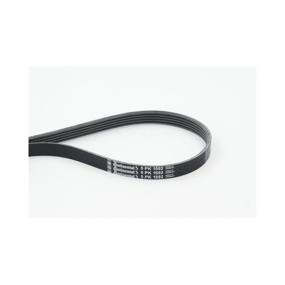 Keilrippenriemen CONTINENTAL CTAM 5PK1592 für ALFA ROMEO AUDI FIAT MERCEDES-BENZ
