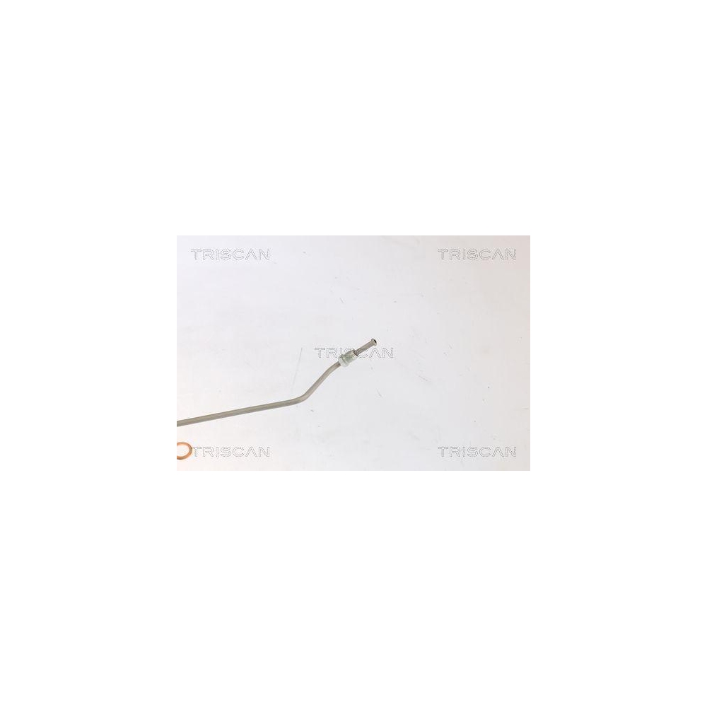 Bremsschlauch TRISCAN 8150 292022 f&uuml;r AUDI SEAT SKODA VW, Hinterachse rechts