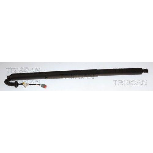 TRISCAN 8710 16318 Gasfeder, Koffer-/Laderaum f&uuml;r FORD, hinten links