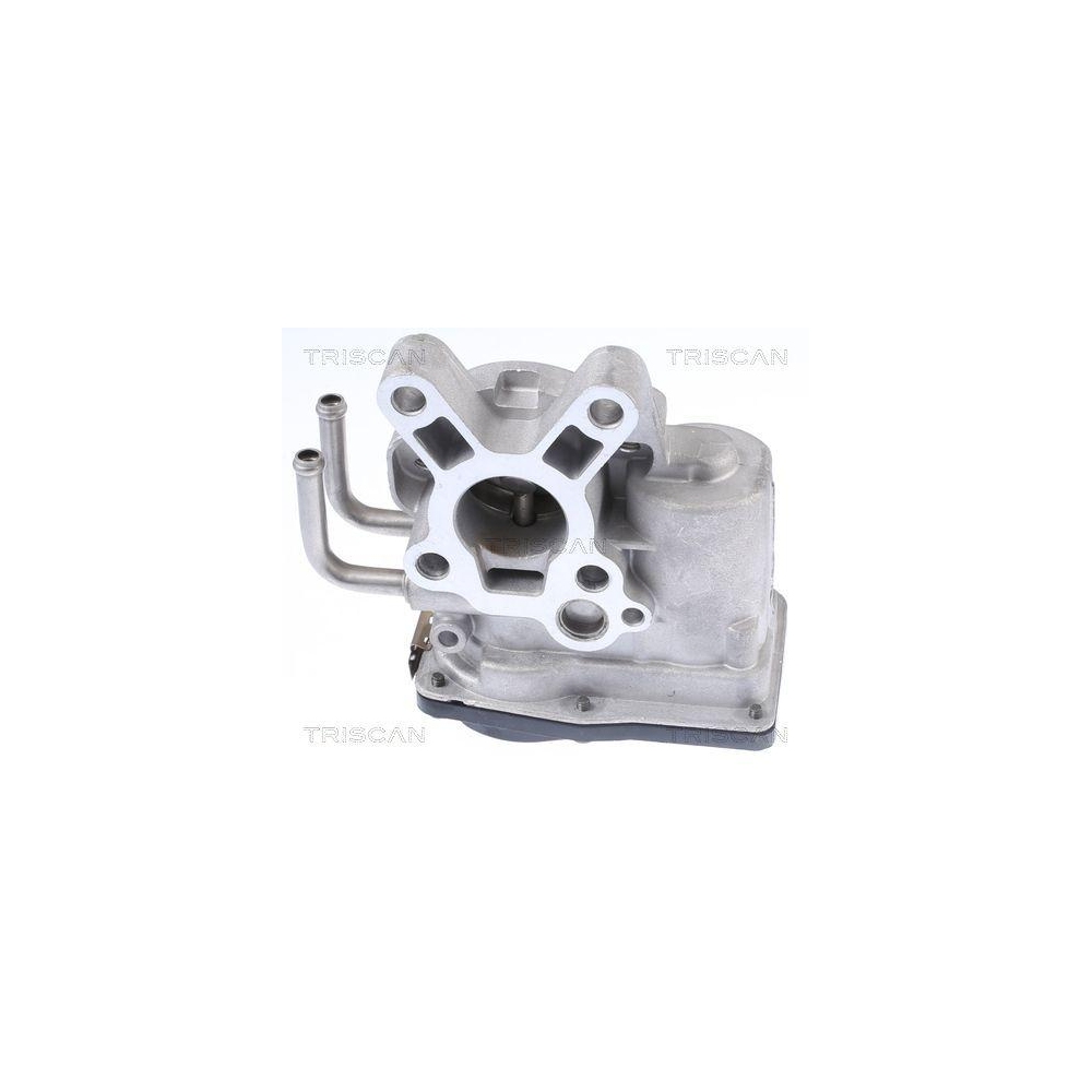 AGR-Ventil TRISCAN 8813 14010 f&uuml;r NISSAN