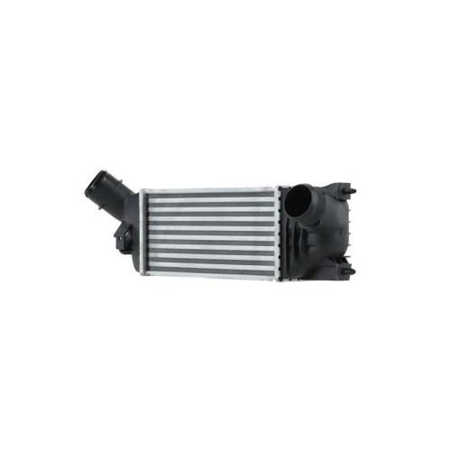 HELLA 8ML 366 340-991 Ladeluftk&uuml;hler f&uuml;r CITRO&Euml;N PEUGEOT