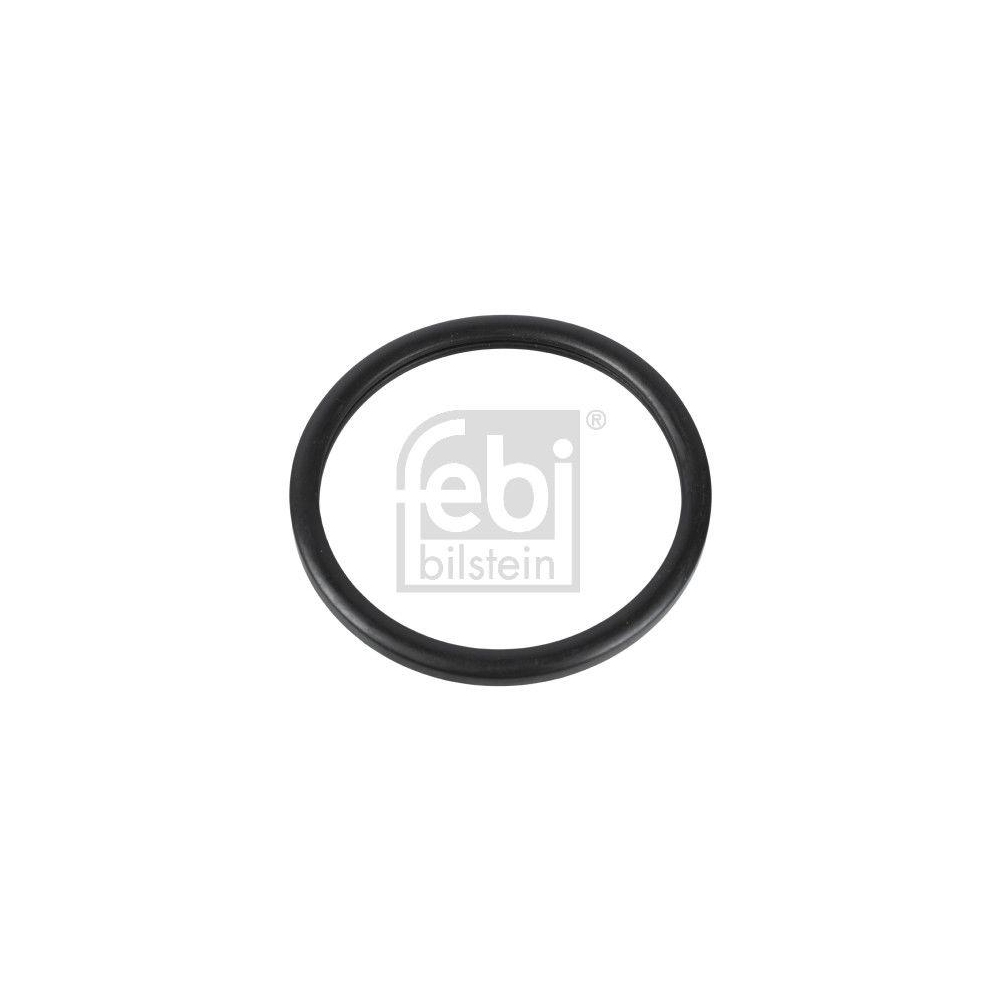 Dichtung, Thermostat FEBI BILSTEIN 10255 für RENAULT