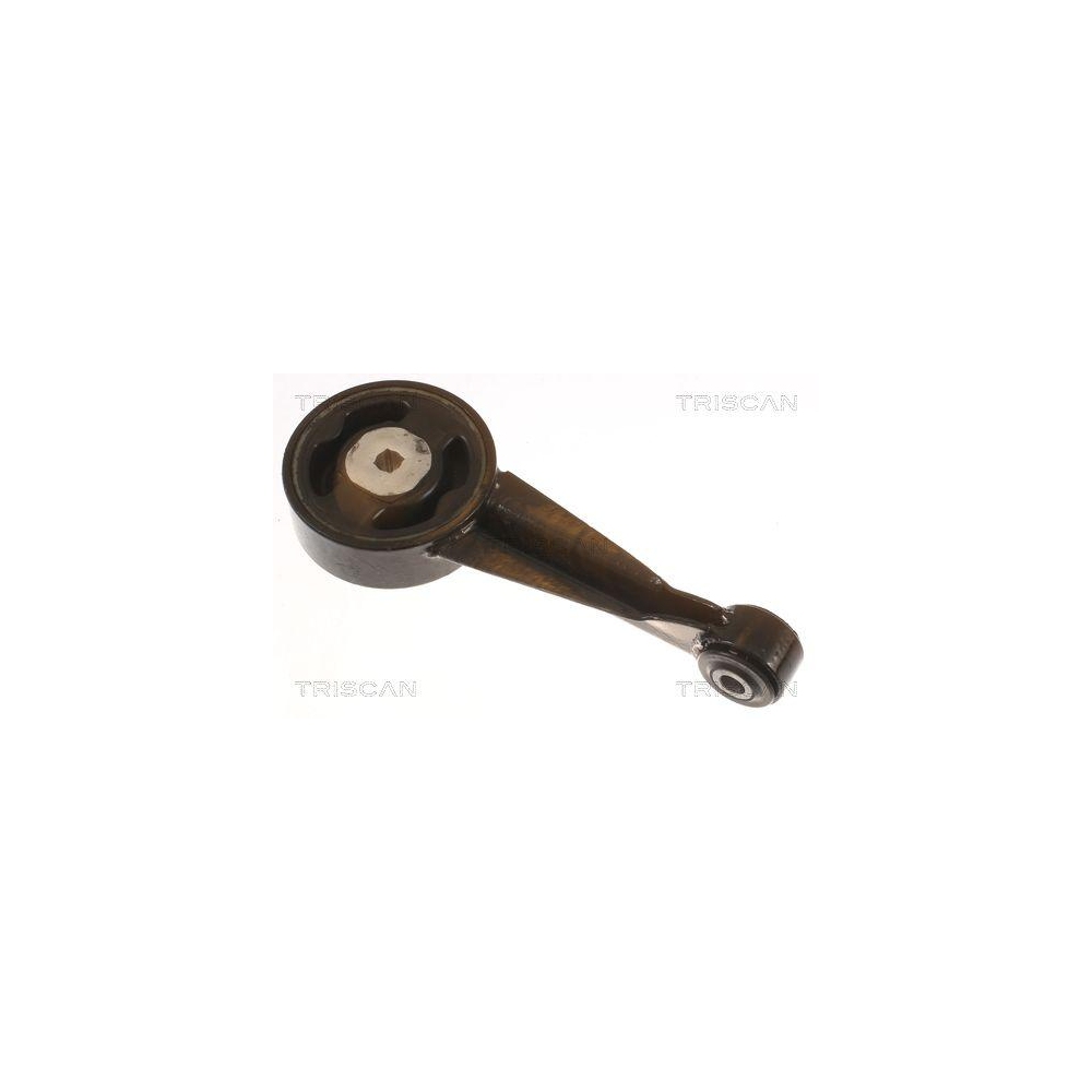 Lagerung, Motor TRISCAN 8505 29190 f&uuml;r VW, hinten