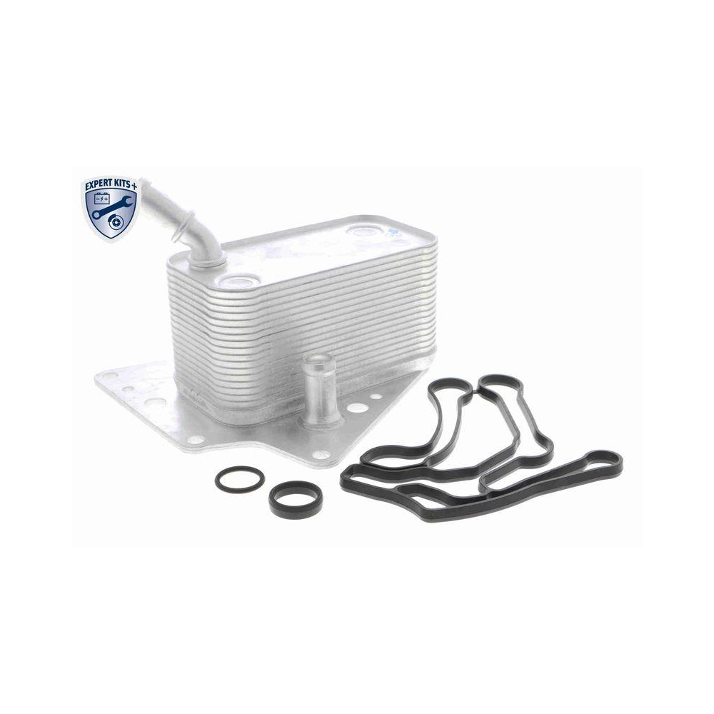 &Ouml;lk&uuml;hler, Motor&ouml;l VEMO V40-60-2101 EXPERT KITS + f&uuml;r FIAT OPEL