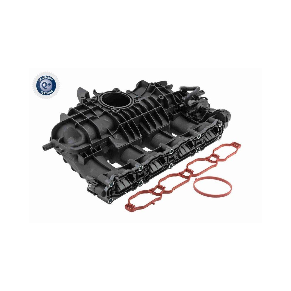 Saugrohrmodul VAICO V10-8238 Q+, Erstausrüsterqualität für VW