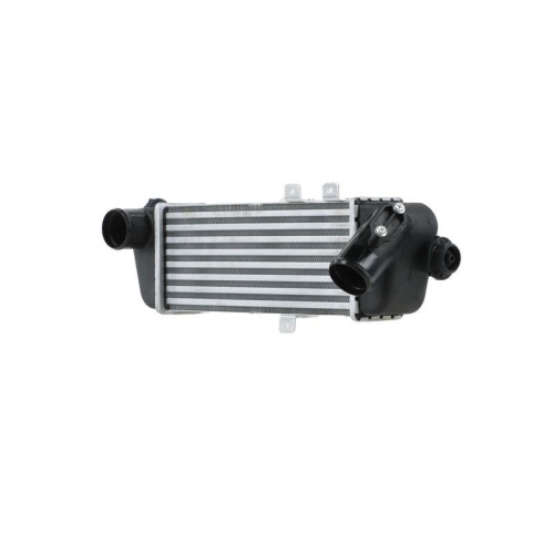 HELLA 8ML 366 341-001 Ladeluftk&uuml;hler f&uuml;r HYUNDAI KIA