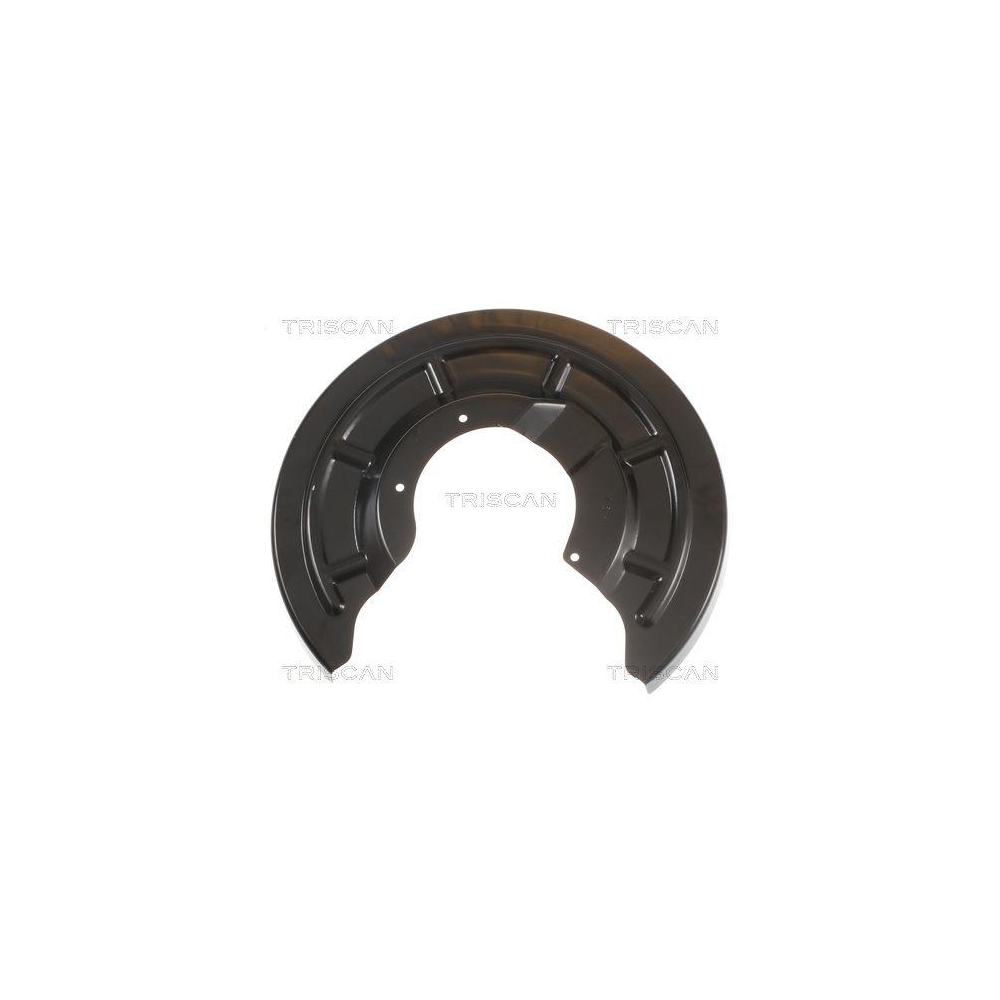Spritzblech, Bremsscheibe TRISCAN 8125 25204 f&uuml;r RENAULT, Hinterachse rechts