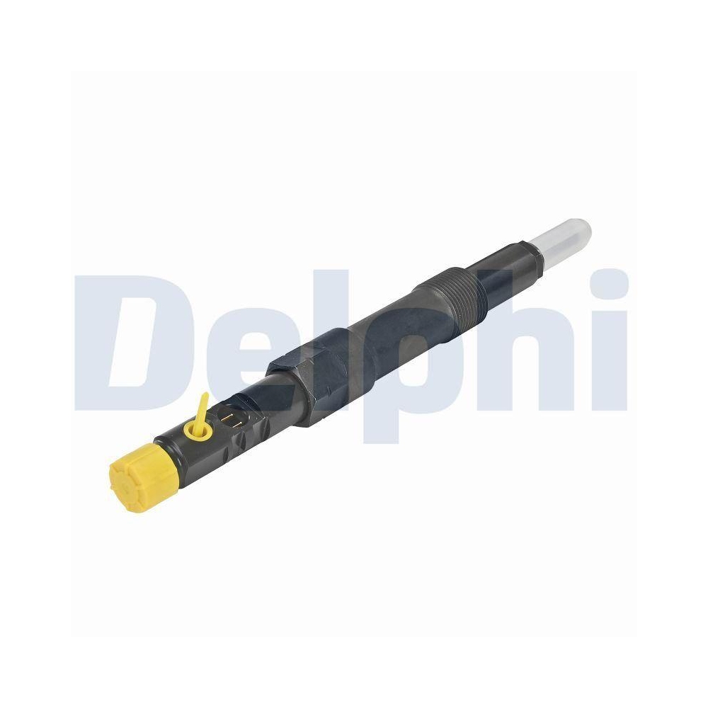 DELPHI R01101D-12B1 Einspritzventil f&uuml;r FORD