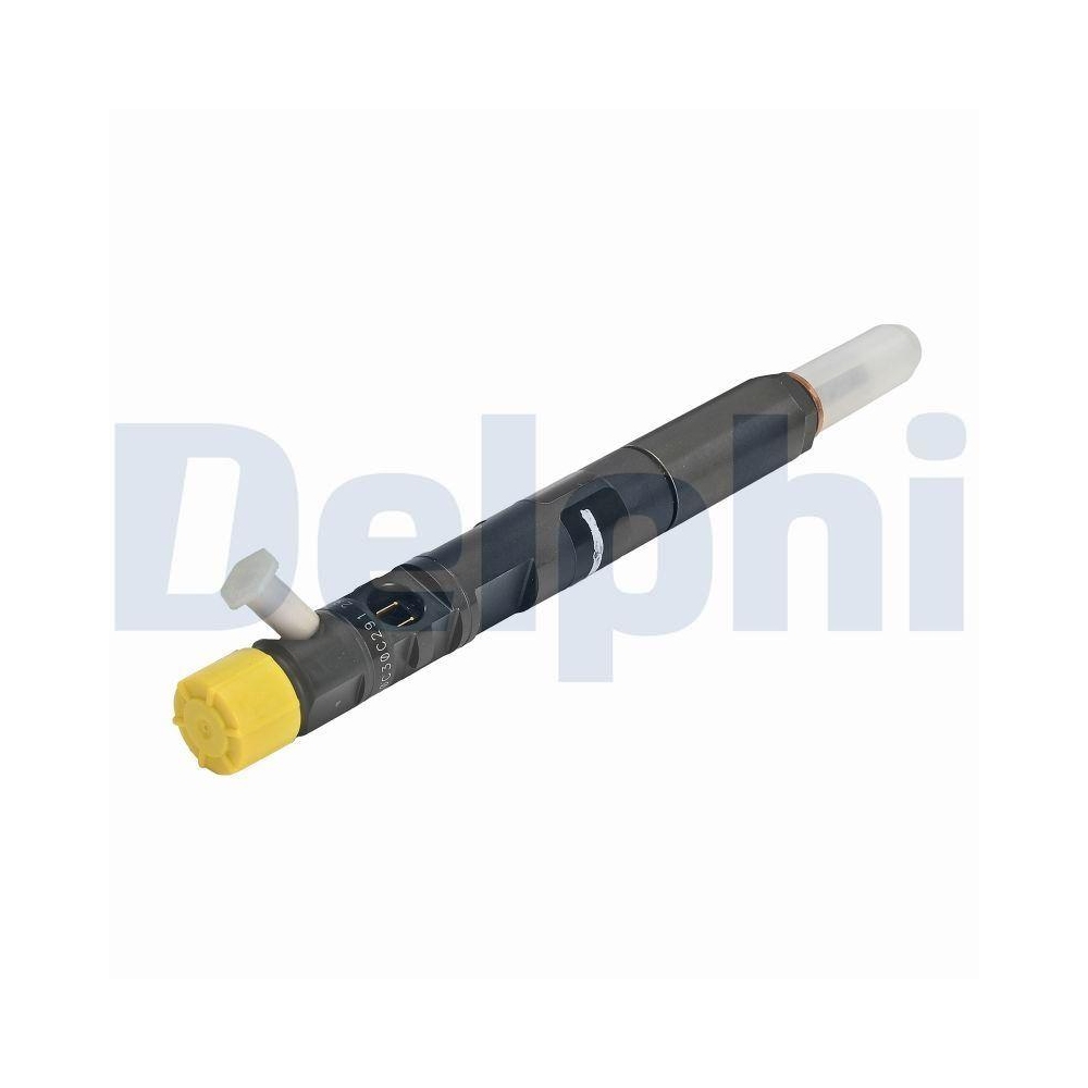 DELPHI R02201Z-12B1 Einspritzventil für FORD