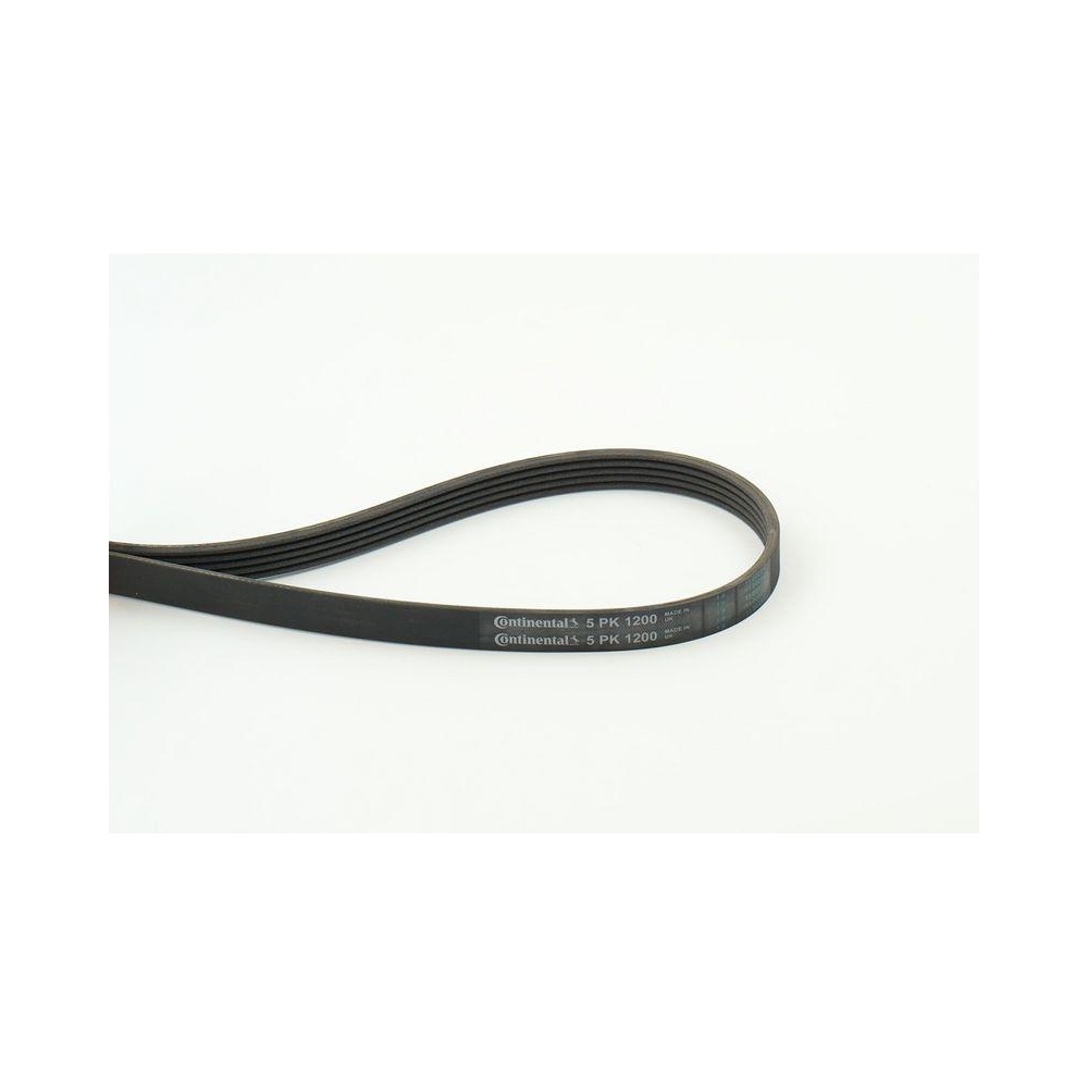 Keilrippenriemen CONTINENTAL CTAM 5PK1200 für CHRYSLER CITROËN MG NISSAN OPEL VW