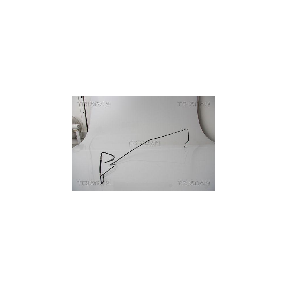 Bremsschlauch TRISCAN 8150 25248 f&uuml;r RENAULT, Hinterachse rechts, au&szlig;en