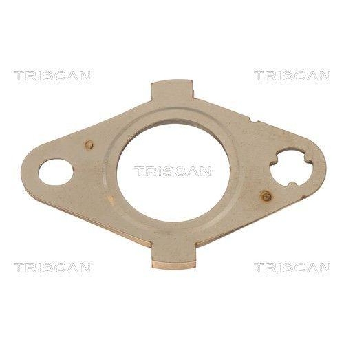 TRISCAN 8813 99203 Dichtung f&uuml;r MERCEDES-BENZ NISSAN RENAULT