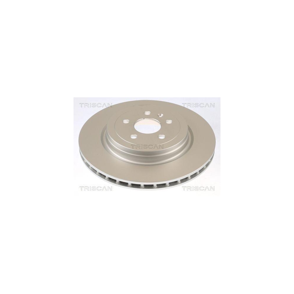 TRISCAN 8120 81002C 2 St&uuml;ck Bremsscheiben f&uuml;r TESLA, Hinterachse