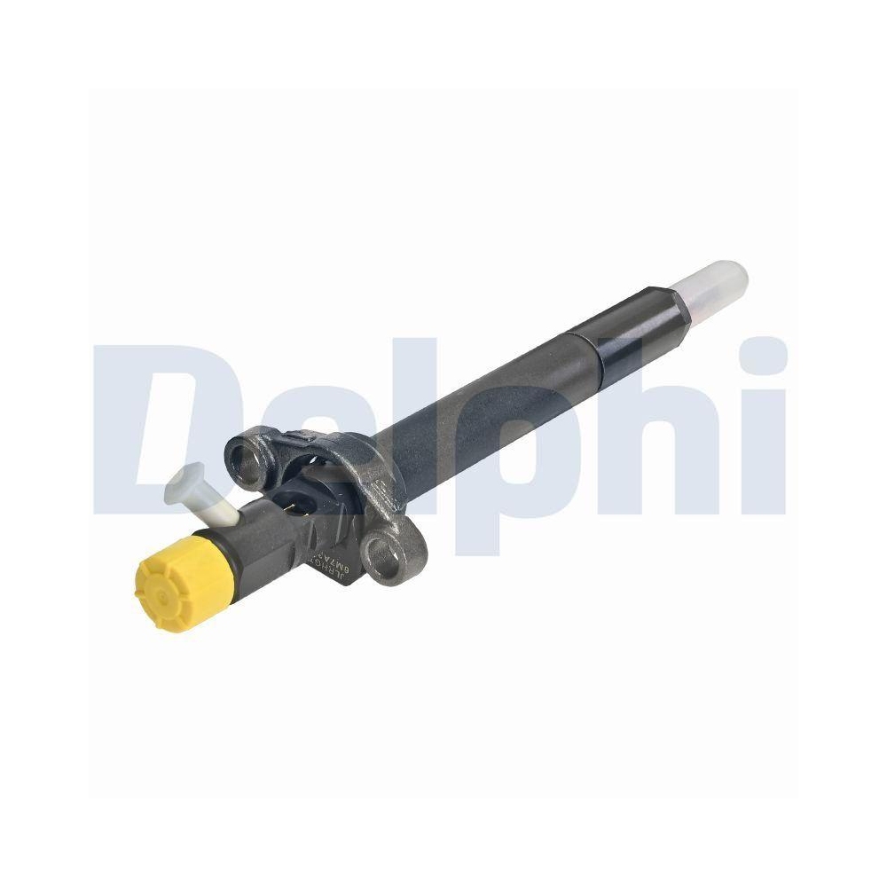 DELPHI R06001D-12B1 Einspritzventil für CITROËN PEUGEOT