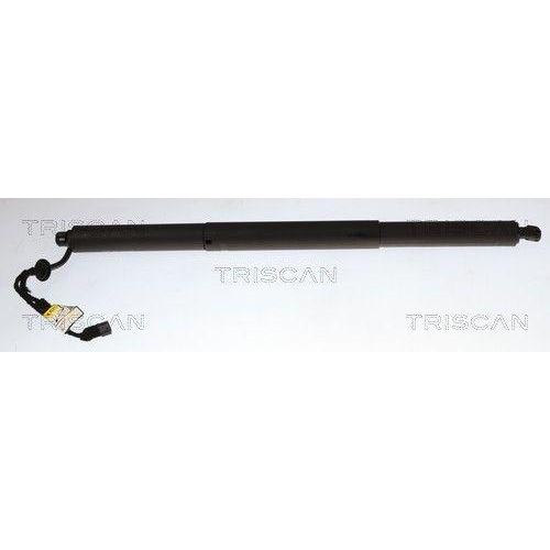 TRISCAN 8710 11370 Gasfeder, Koffer-/Laderaum f&uuml;r BMW, links