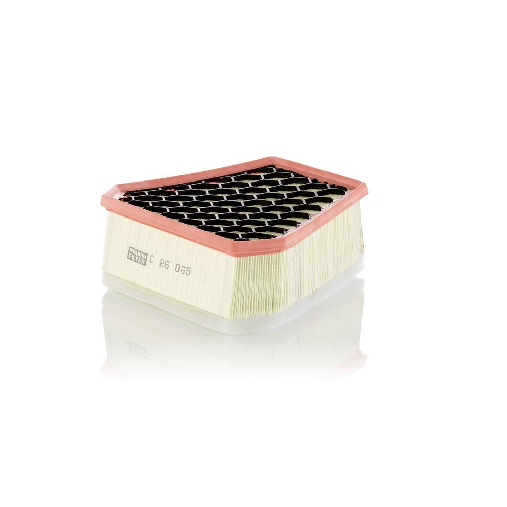 MANN-FILTER C 26 065 Luftfilter f&uuml;r FIAT
