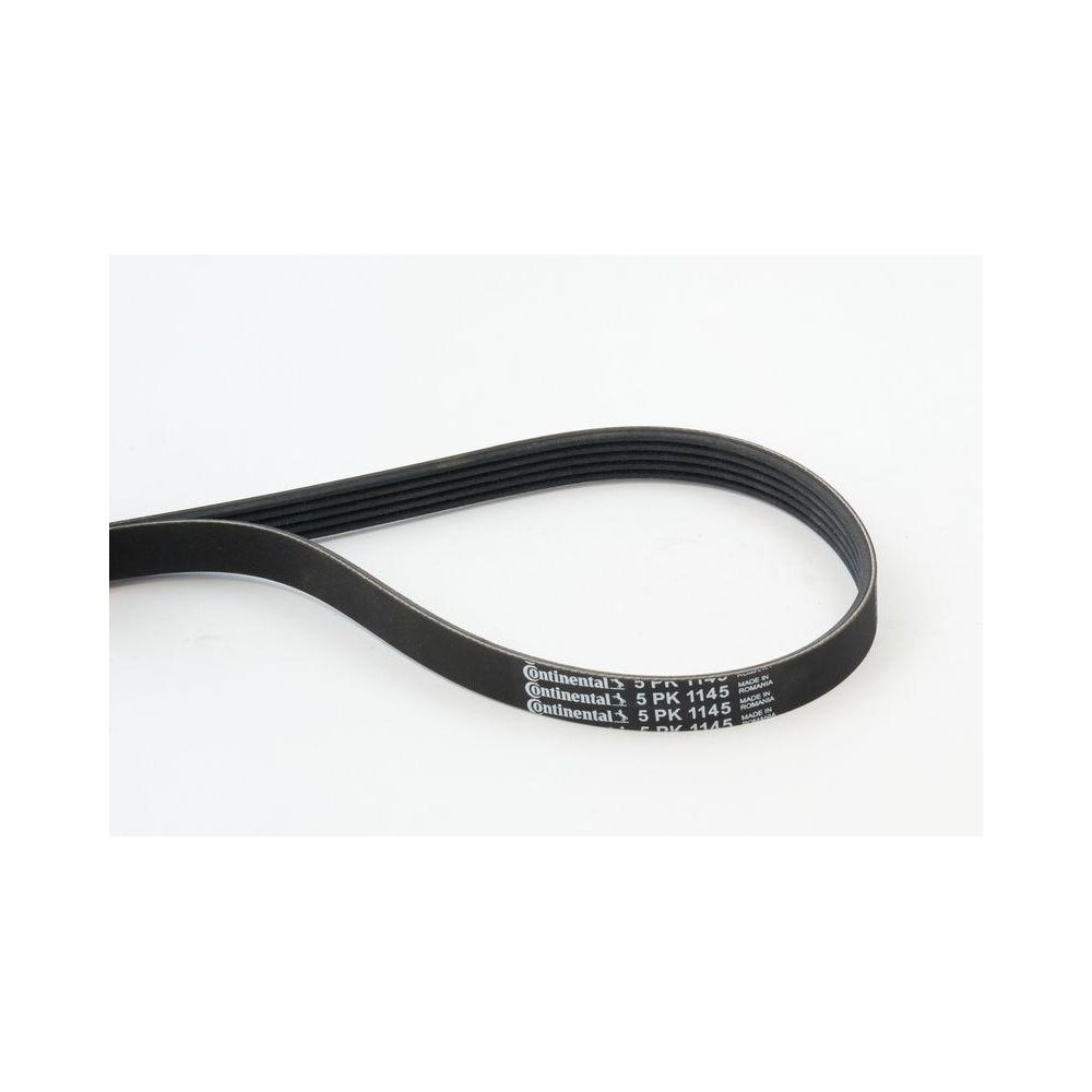Keilrippenriemen CONTINENTAL CTAM 5PK1145 für ALFA ROMEO CHRYSLER FIAT FORD MG