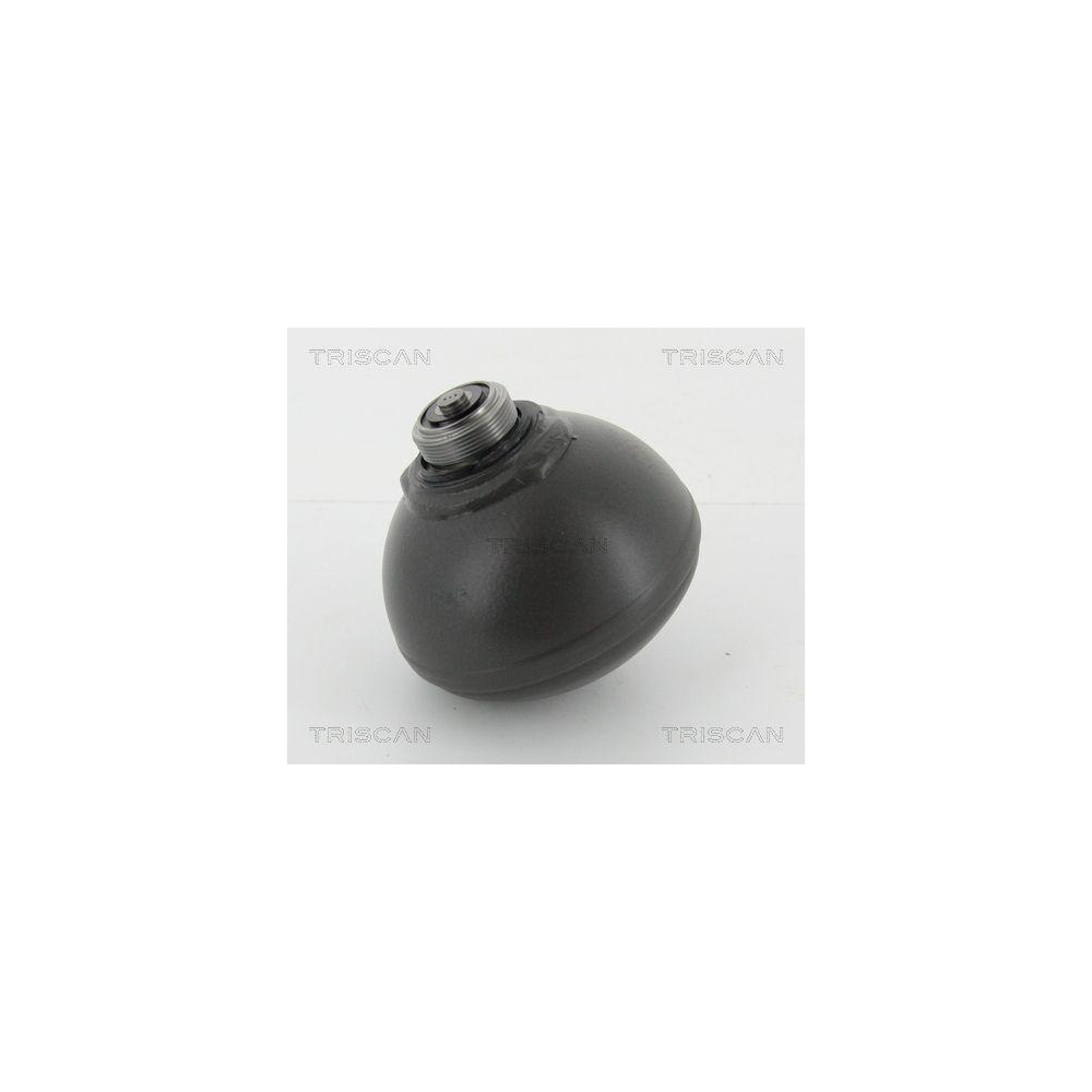 Druckspeicher, Federung/D&auml;mpfung TRISCAN 8760 38132 f&uuml;r, Vorderachse