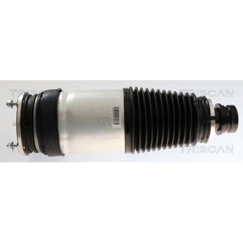 Luftfeder, Fahrwerk TRISCAN 8720 81102 f&uuml;r TESLA, Vorderachse beidseitig