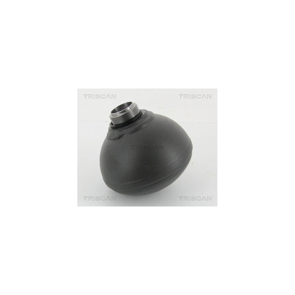 Druckspeicher, Federung/D&auml;mpfung TRISCAN 8760 38241 f&uuml;r CITRO&Euml;N, Vorderachse