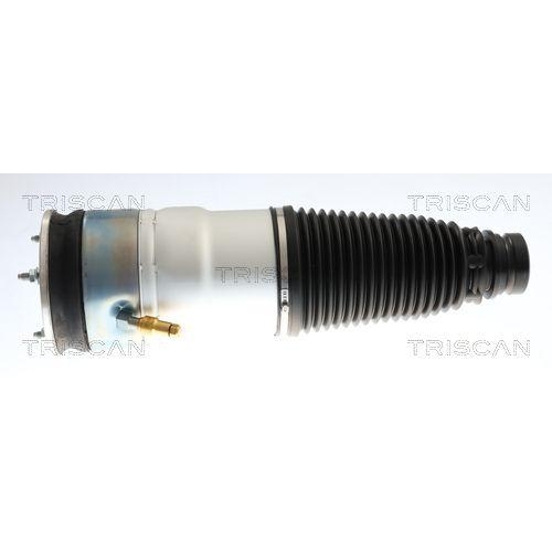 Luftfeder, Fahrwerk TRISCAN 8720 81106 f&uuml;r TESLA, Vorderachse beidseitig