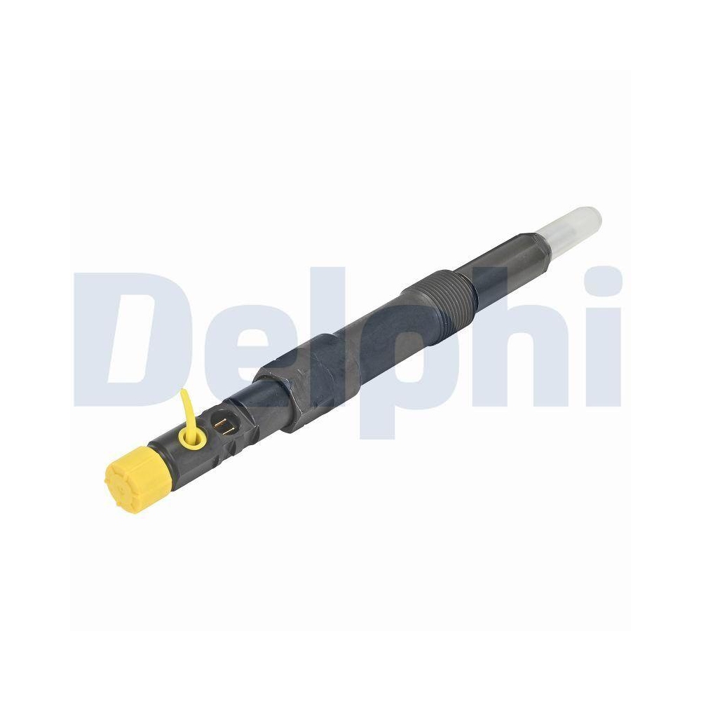 DELPHI R00504Z-12B1 Einspritzventil f&uuml;r