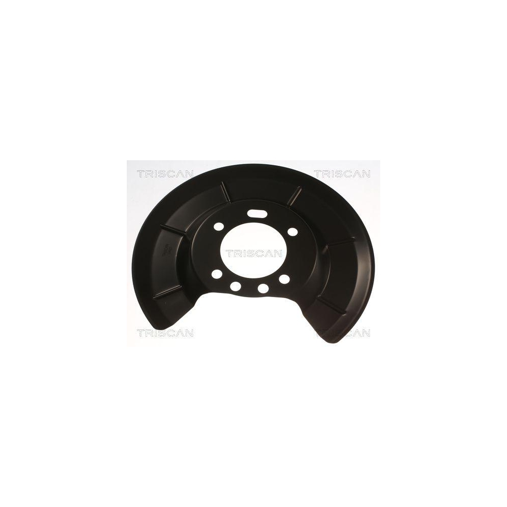 Spritzblech, Bremsscheibe TRISCAN 8125 16218 f&uuml;r FORD, Hinterachse
