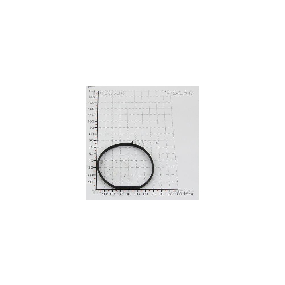 Dichtung TRISCAN 8813 9938 für VW