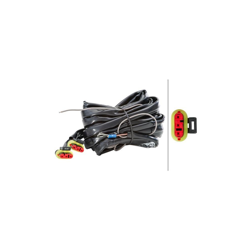 HELLA Leitungssatz 8KA 165 959-001 für DAF SCANIA HYMER LORINSER