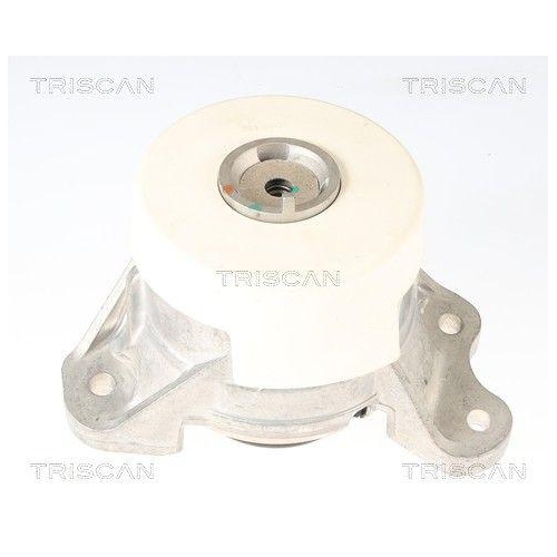 TRISCAN 8505 23111 Lagerung, Motor f&uuml;r MERCEDES-BENZ, rechts, vorne