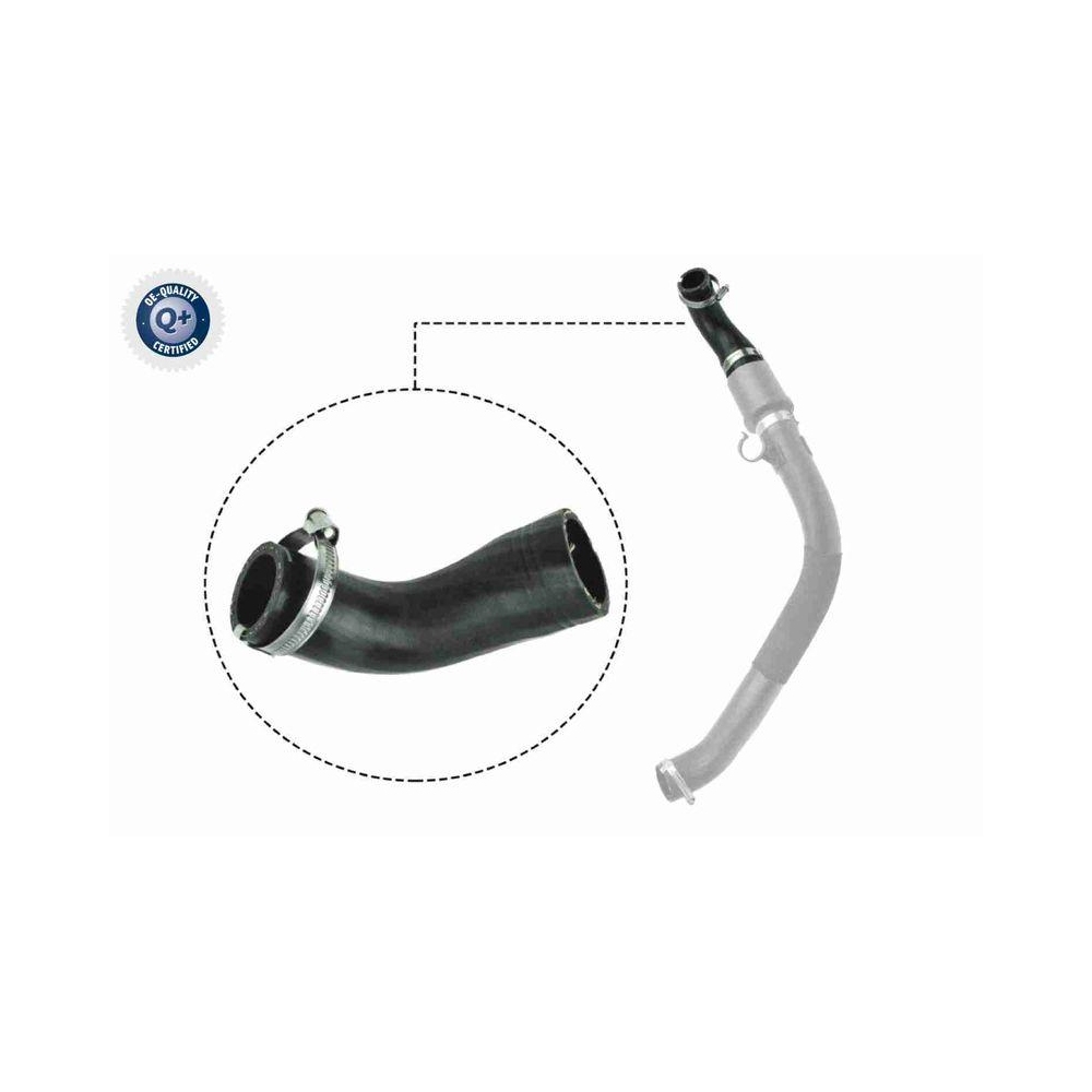 Ladeluftschlauch VAICO V25-1044 Q+, Erstausr&uuml;sterqualit&auml;t f&uuml;r FORD