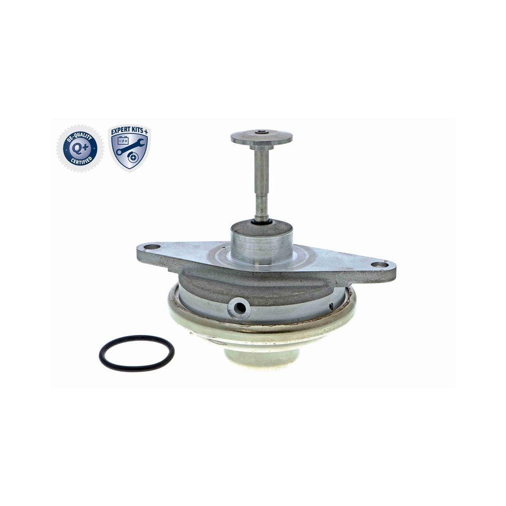 AGR-Ventil VEMO V40-63-0024-1 EXPERT KITS + für OPEL VAUXHALL GENERAL MOTORS