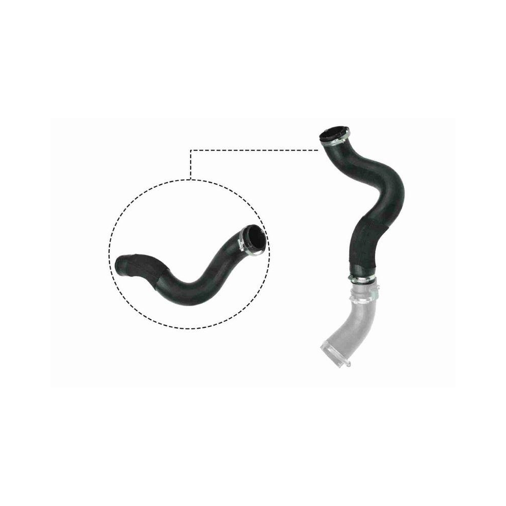 Ladeluftschlauch VAICO V25-1047 Q+, Erstausr&uuml;sterqualit&auml;t f&uuml;r FORD