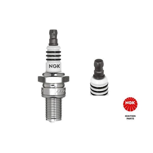 NGK Z&uuml;ndkerze 3006 Iridium IX f&uuml;r KTM