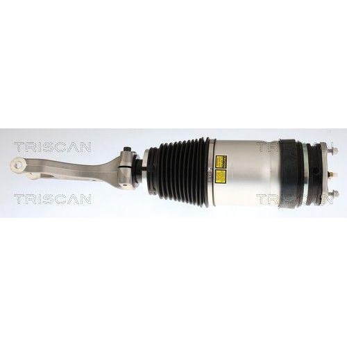 TRISCAN 8720 81103 Luftfederbein f&uuml;r TESLA, Vorderachse beidseitig