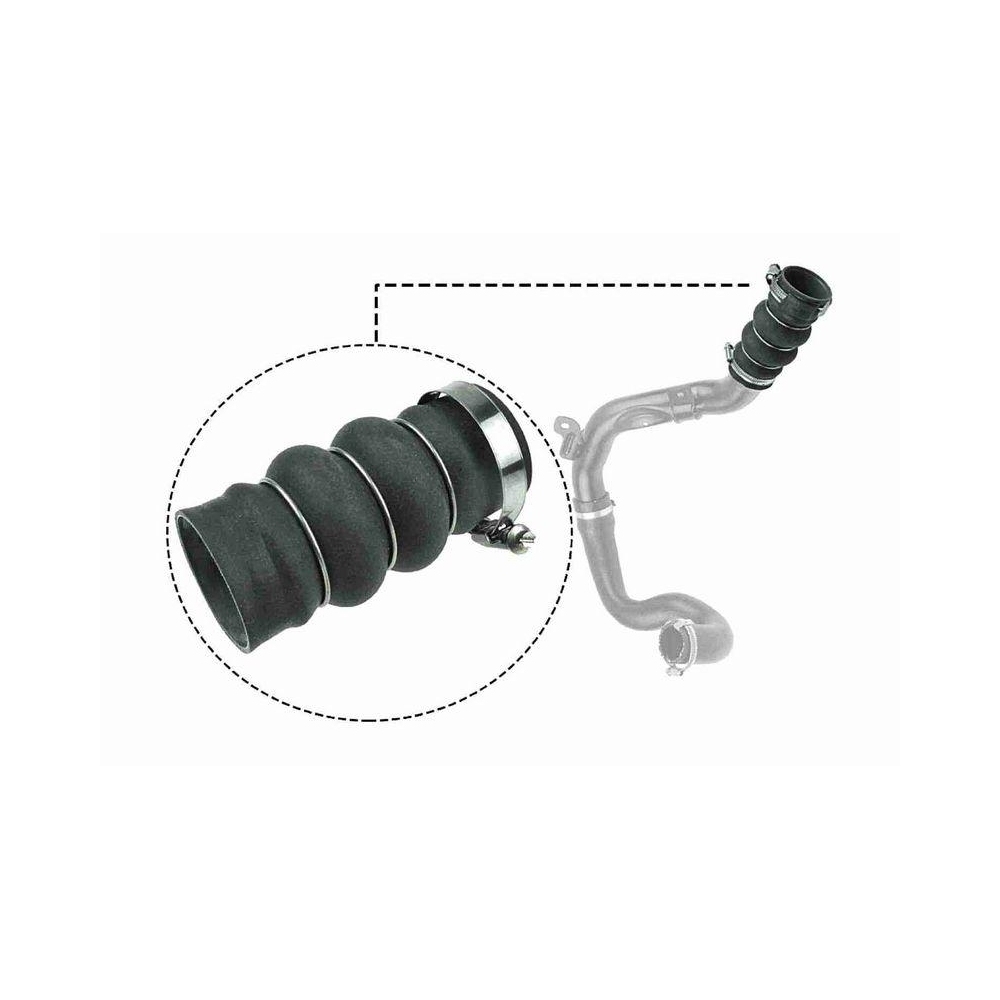 Ladeluftschlauch VAICO V25-1052 Q+, Erstausr&uuml;sterqualit&auml;t f&uuml;r FORD FORD USA