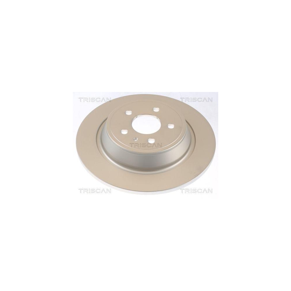 TRISCAN 8120 16182C 2 St&uuml;ck Bremsscheiben f&uuml;r FORD, Hinterachse