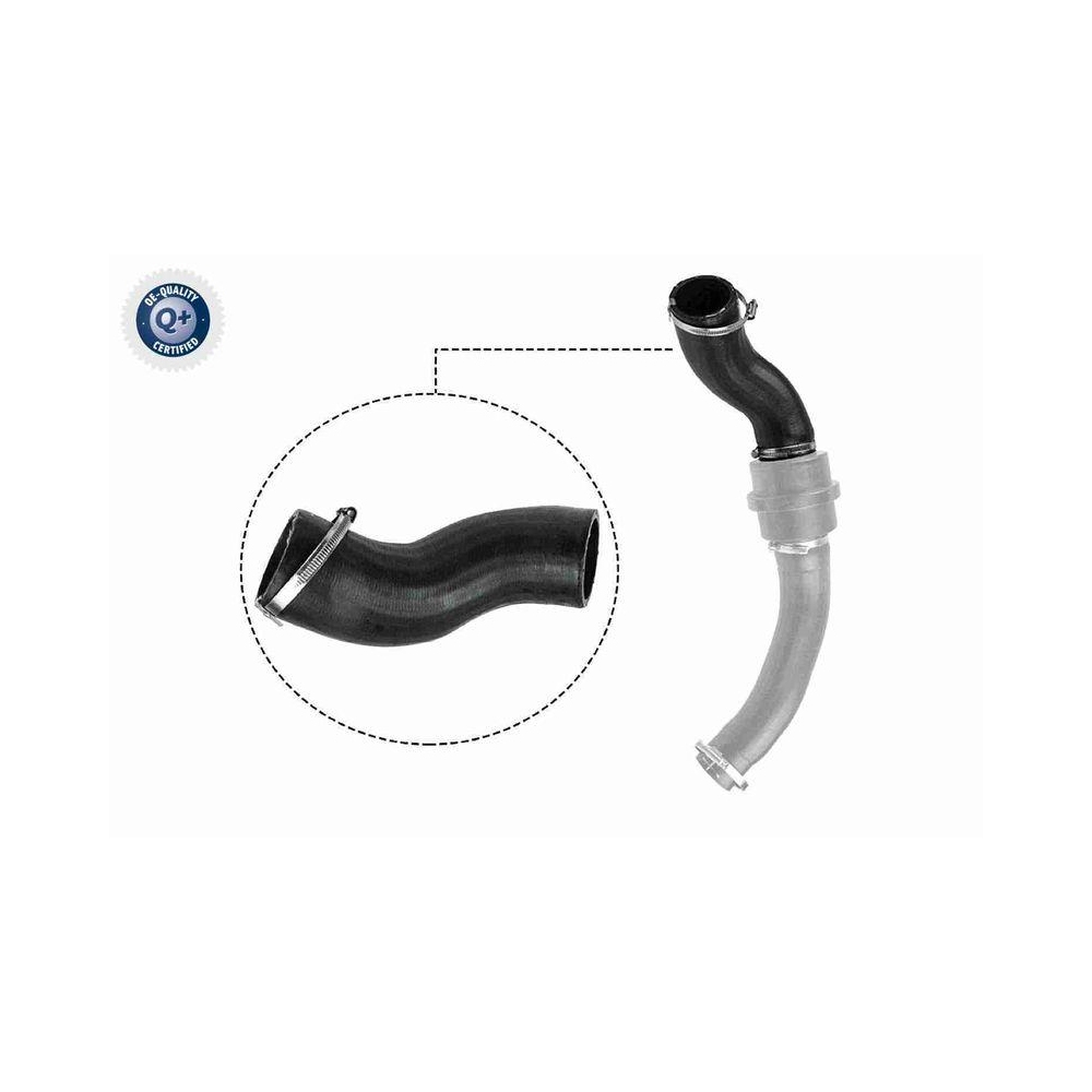 Ladeluftschlauch VAICO V25-1057 Q+, Erstausr&uuml;sterqualit&auml;t f&uuml;r FORD