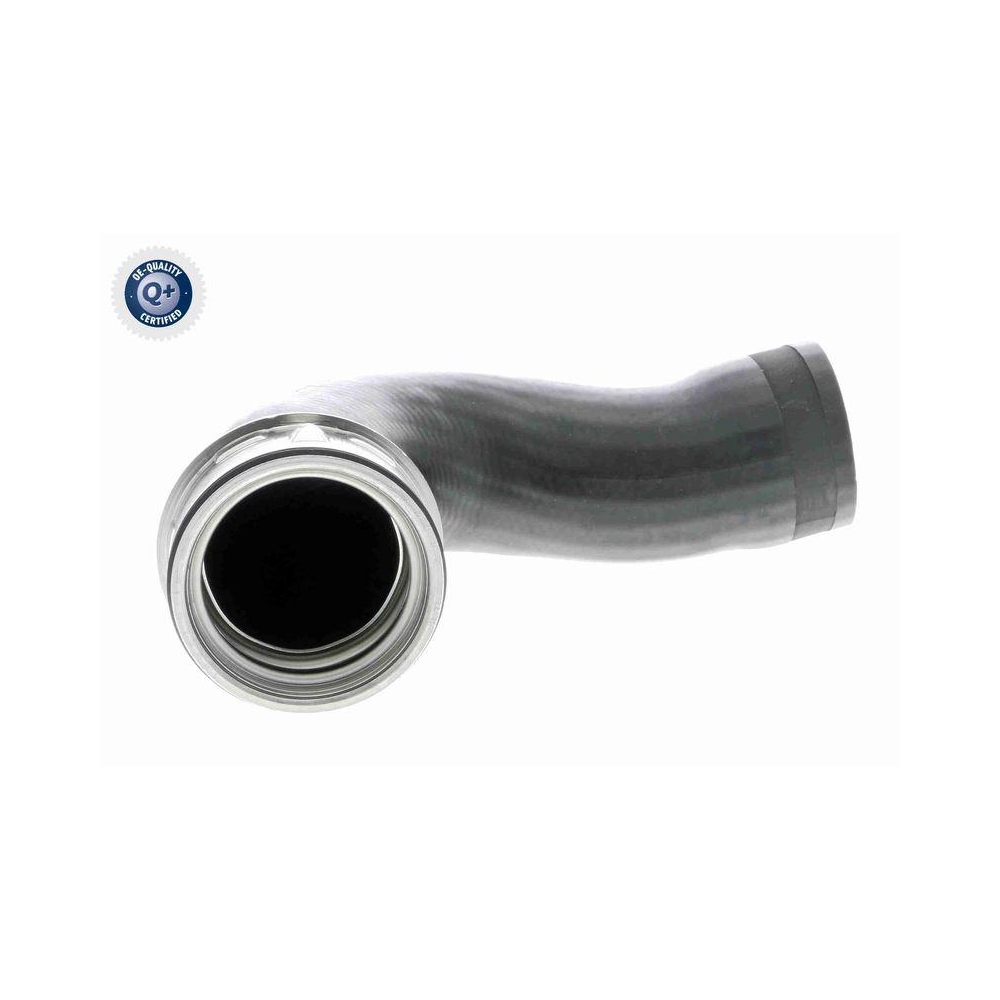 Ladeluftschlauch VAICO V10-3768 Q+, Erstausr&uuml;sterqualit&auml;t f&uuml;r AUDI SEAT SKODA VW